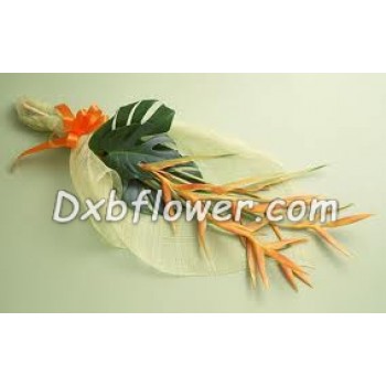 Exotic moments - by Dxb Flower