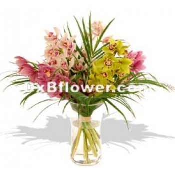 Cymbidiums in vase Cymbidiums in vase - by Dxb Flower