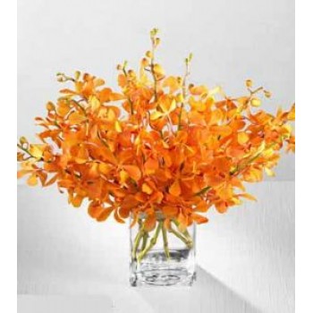 Orange Mokara Orchids in Vase Orange Mokara Orchids in Vase - by Dxb Flower