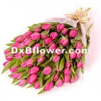 Pink tulips Handtied - by Dxb Flower