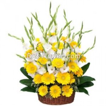 sunny flowers - by Dxb Flower