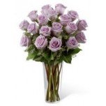 Lavender roses in Vase