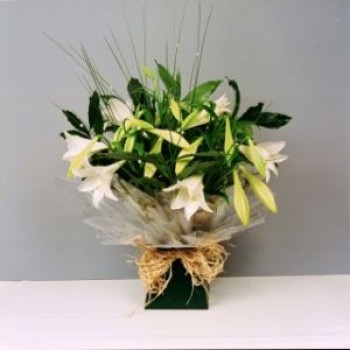 Longi Lillies arrangement - by Dxb Flower