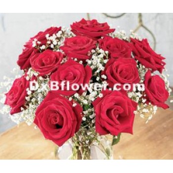 One Dozen Roses - by Dxb Flower