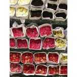 Roses Wholesale